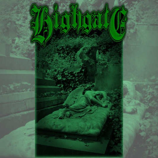 Women's Highgate Angel Vest